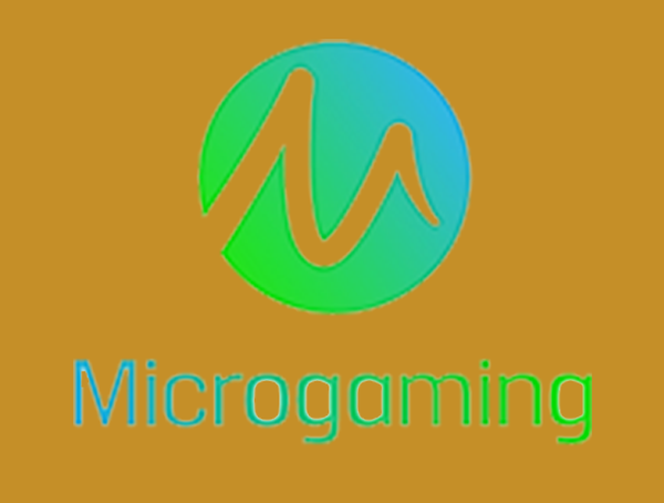 MICRO GAMING